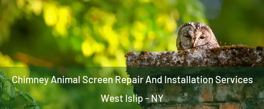  Chimney Animal Screen Repair And Installation Services West Islip - NY