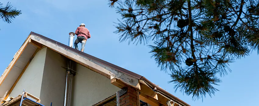 Birds Removal Contractors from Chimney in West Islip, NY